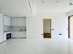 Peak Residence (D11), Condominium #516666221
